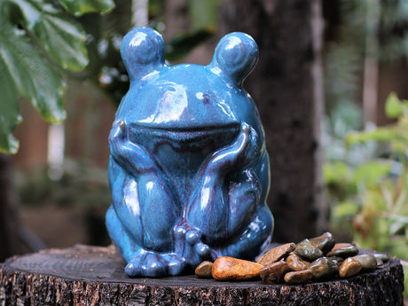 Thinking Frog By Plantatorem