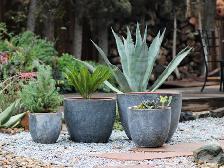 Rimless Parco Planter - Set of 4 By Plantatorem