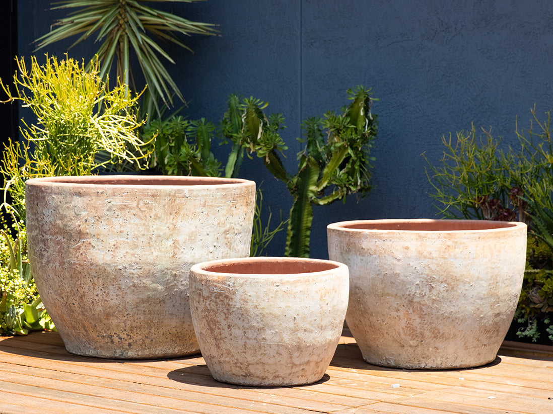 XLG Rimless Parco Planter - Set of 3 By Plantatorem