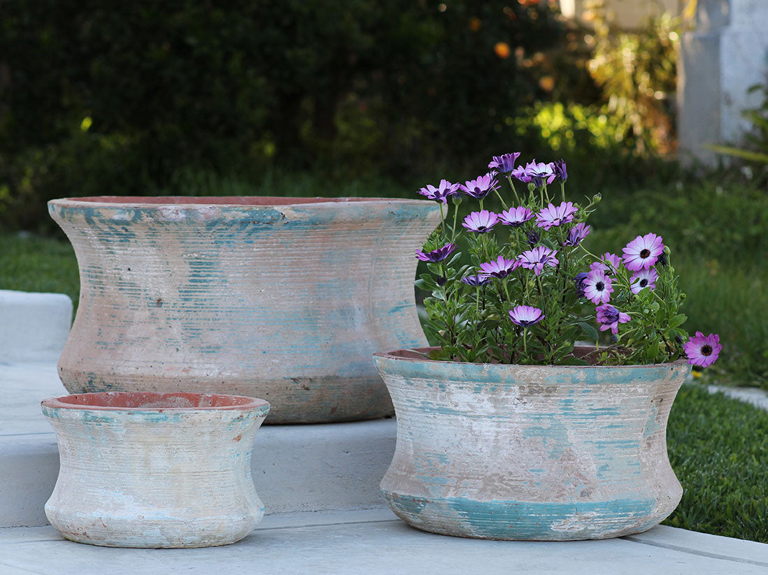 Buy Elegant Short Vase By Plantatorem