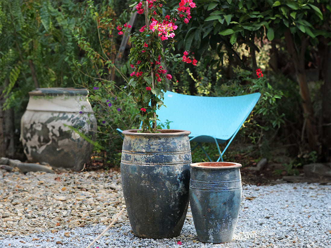 Duet D' Conques- Set of 2 By Plantatorem