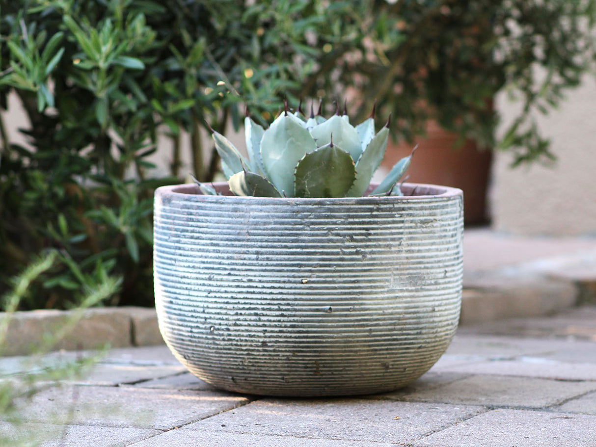 Egg Horizontal Ripples Planter - Set of 3 By Plantatorem