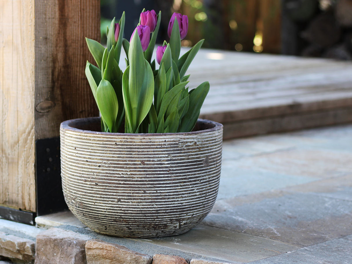 Egg Horizontal Ripples Planter - Set of 3 By Plantatorem