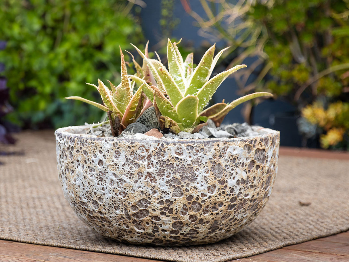 Half Moon Bowl - Set of 2 By Plantatorem