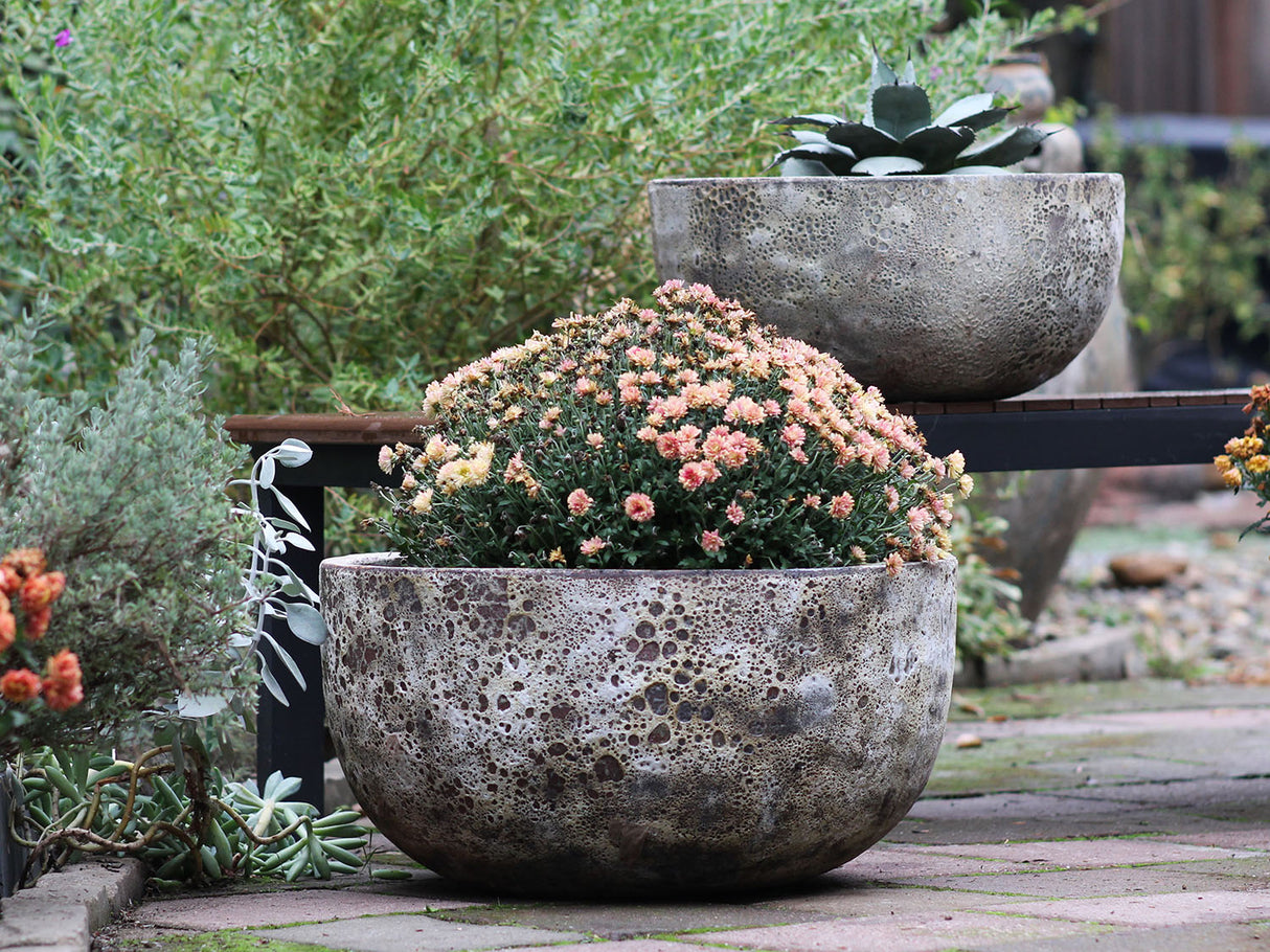 Half Moon Bowl - Set of 2 By Plantatorem