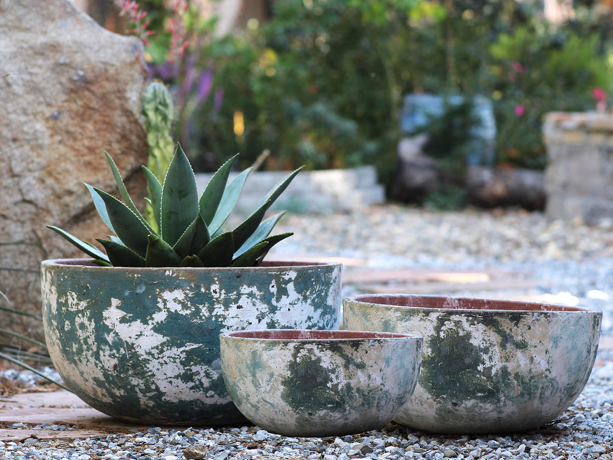 Half Moon Bowl - Set of 2 By Plantatorem