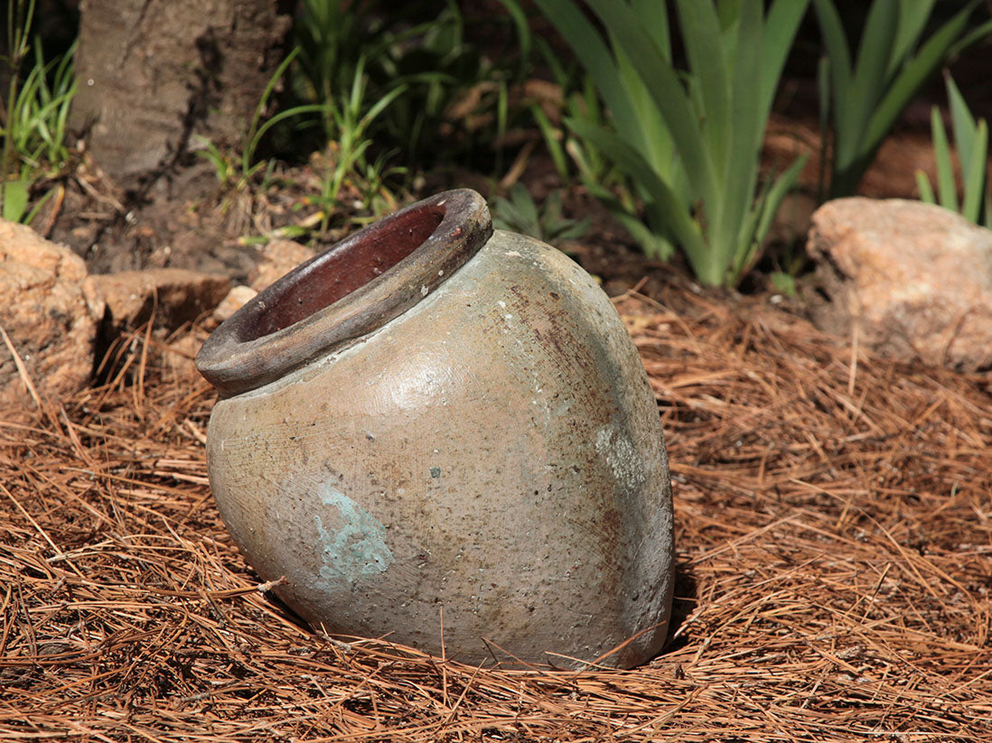 Buy Premium Pots D Piso By Plantatorem