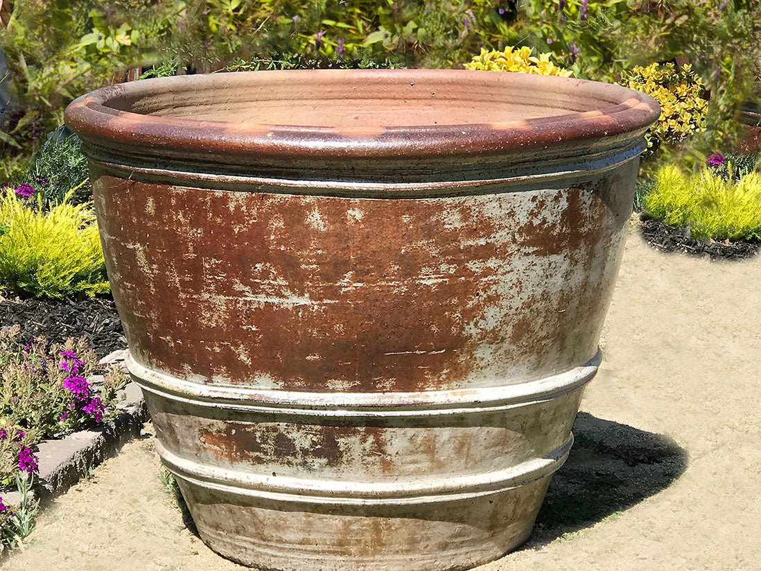 Roll Rim Citrus Planter- Set of 3 By Plantatorem