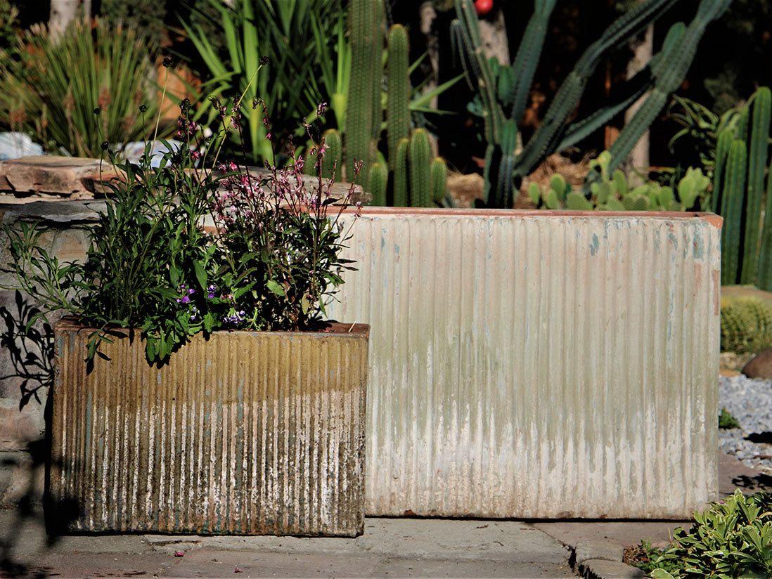 Brush Comb Mid Rectangular Planter-Set of 2 By Plantatorem