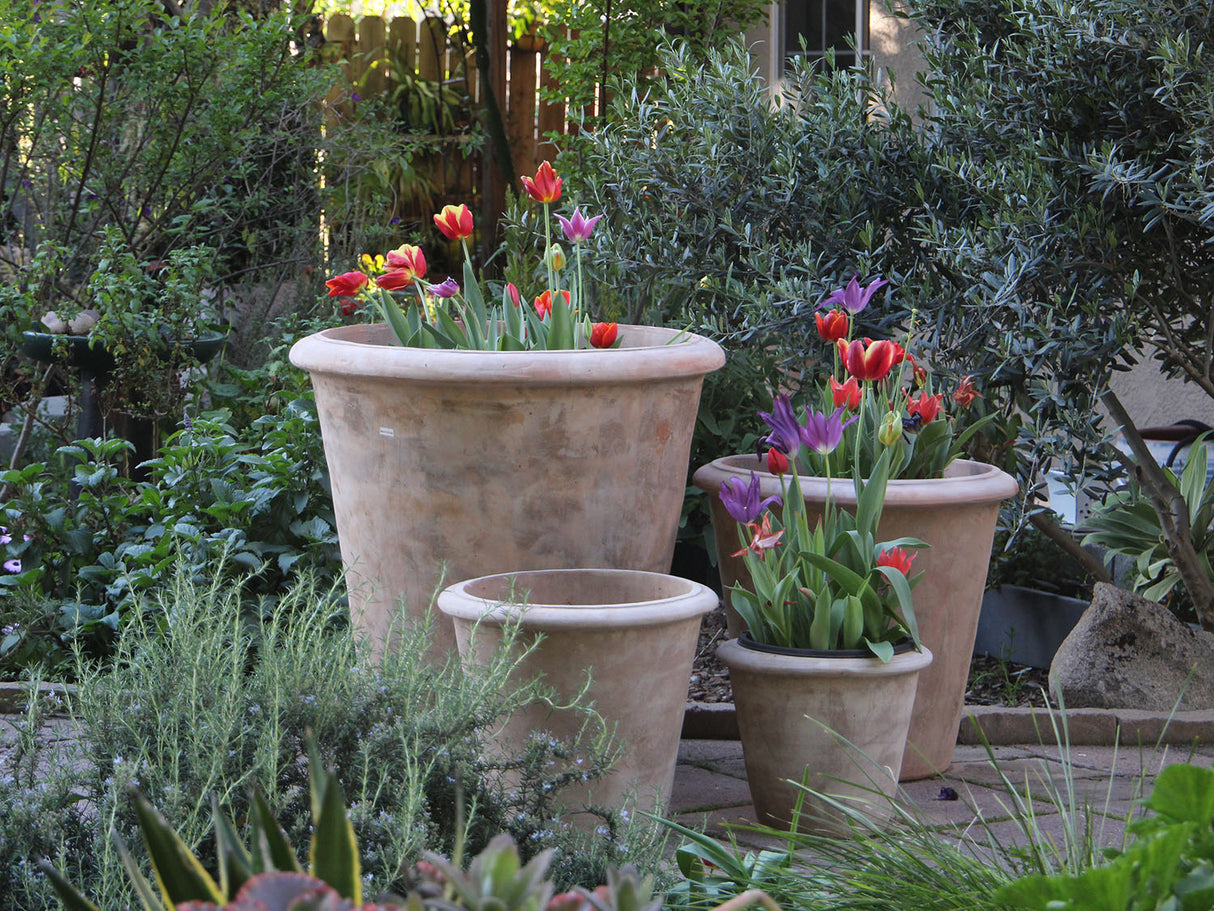 TAPERED AMPHORA PLANTER