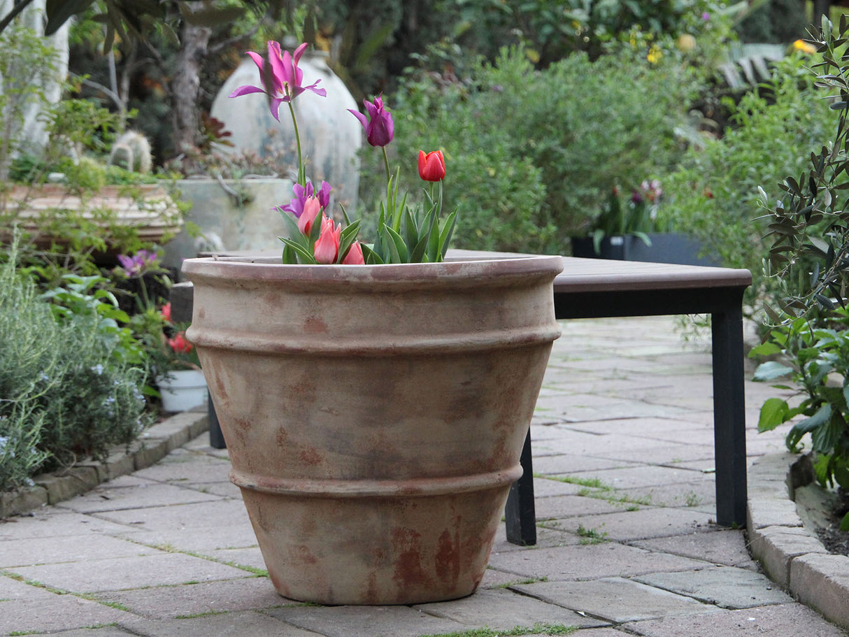 TALL ROLLED RIM PLANTER