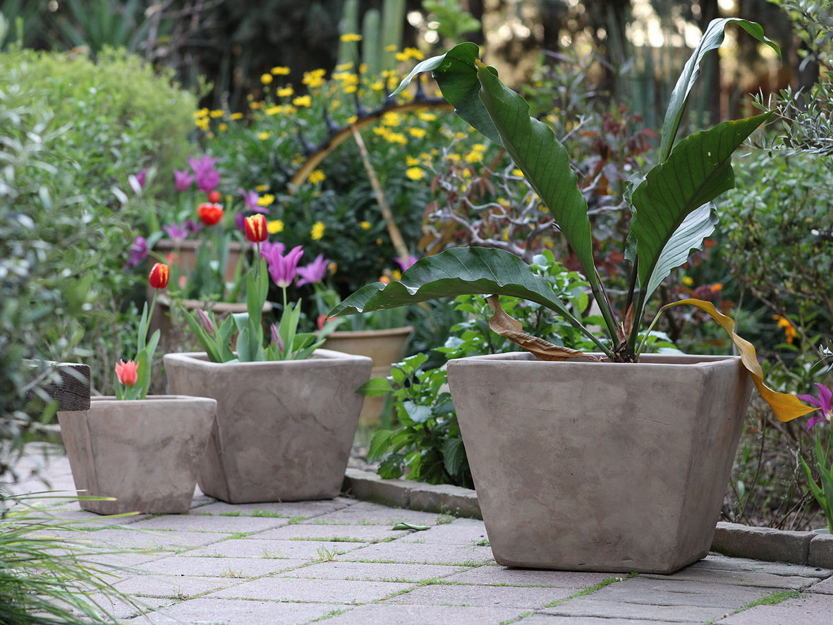 CUBE PLANTER