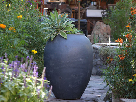 Single Water Jar By Plantatorem