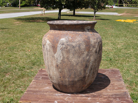 Mediterranean Cantaro By Plantatorem