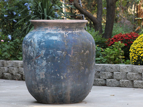 Mediterranean Cantaro By Plantatorem