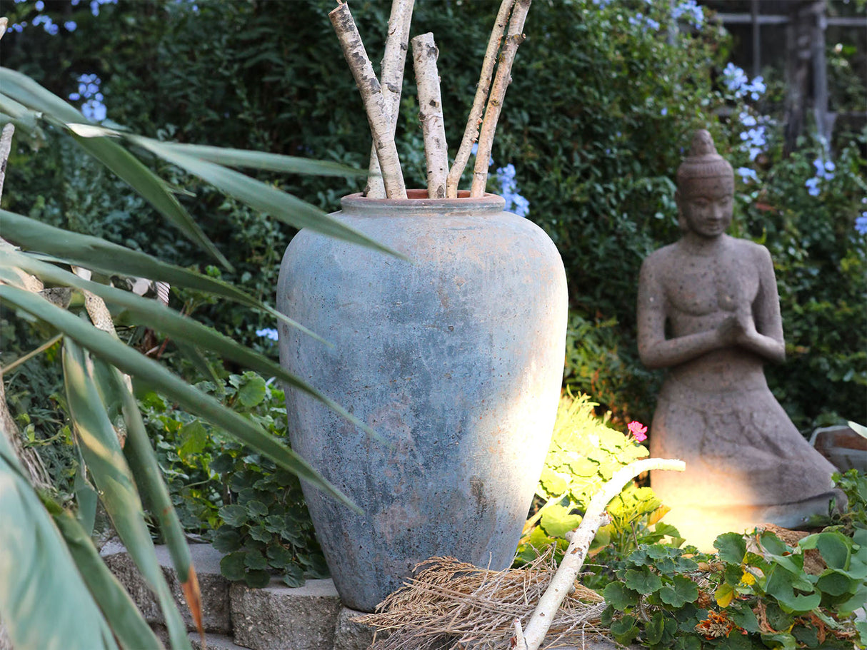 Ancient Wine Jar By Plantatorem