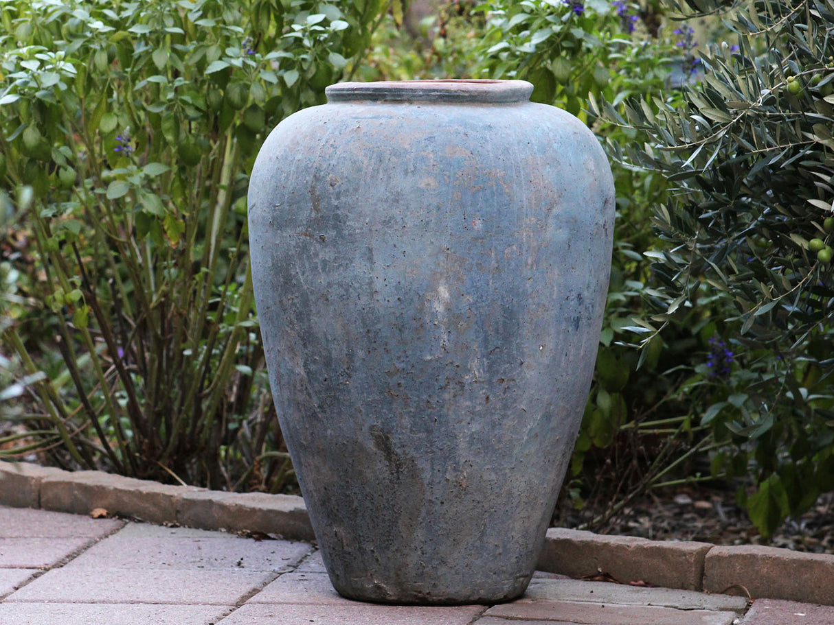 Ancient Wine Jar By Plantatorem