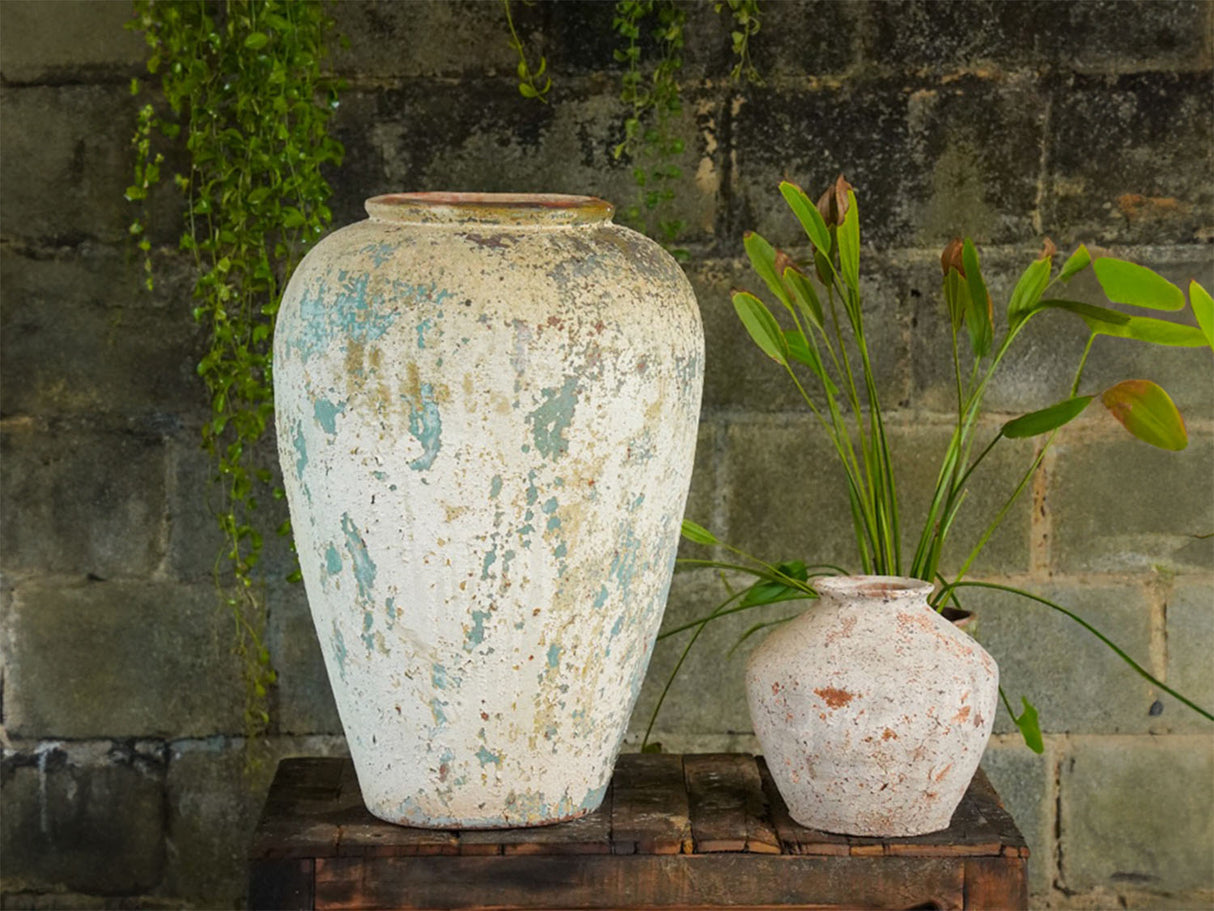 Ancient Wine Jar By Plantatorem