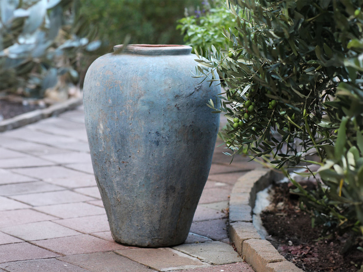Ancient Wine Jar By Plantatorem