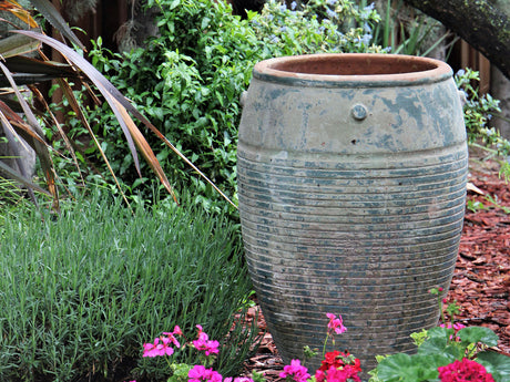 Jar De Santorini By Plantatorem