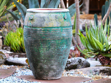 Jar De Santorini By Plantatorem