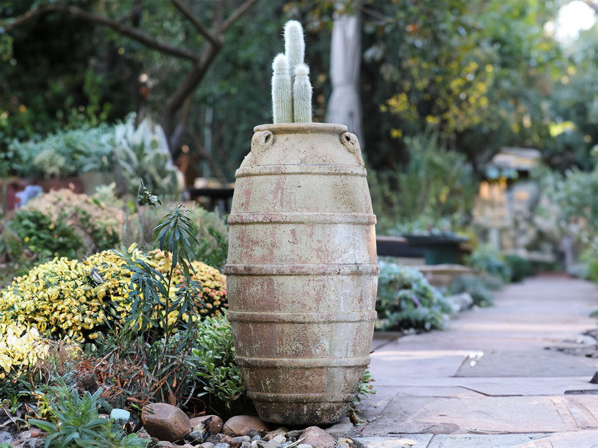 Ribbed Belly Amphora