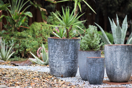 Milano Tall Barrel Planter - Set of 4 By Plantatorem