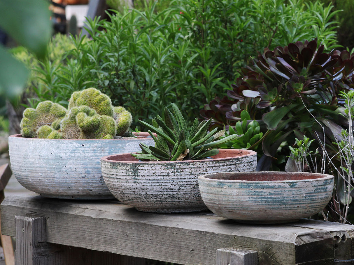 Hand Thrown Bowl-Set of 3 By Plantatorem