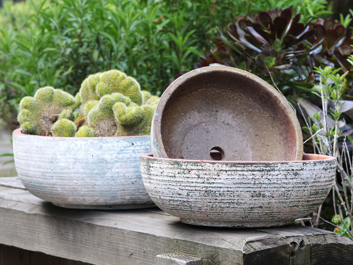 Hand Thrown Bowl-Set of 3 By Plantatorem