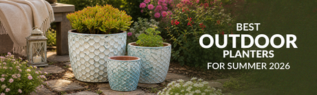 Best Outdoor Planters for Summer 2026
