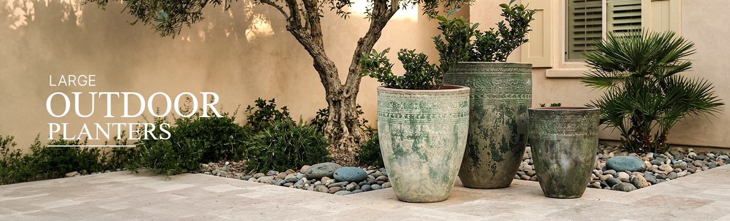 6 Best Plants for Large Outdoor Planters in Summer