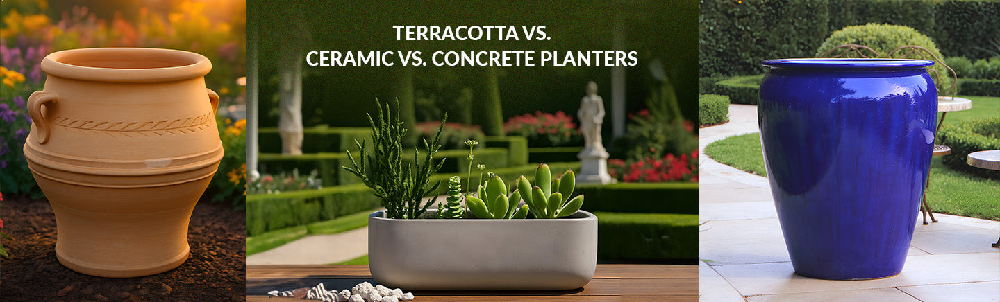 Terracotta vs. Ceramic vs. Concrete Planters: Which One Should You Choose?