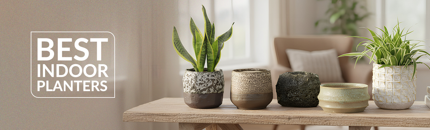 The Best Indoor Planters to Buy in 2026: A Complete Guide to Transform Your Home