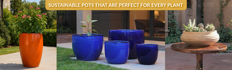 Top 5 Sustainable Pots That Are Perfect for Every Plant