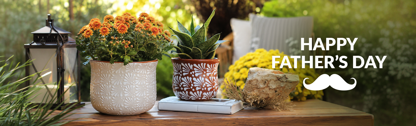 Let Your Dad Grow Something Special This Father’s Day