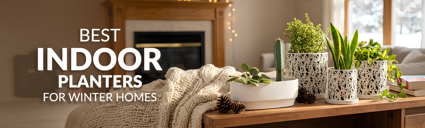 How to Style Your Home with Indoor Planters This Winter