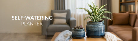 Self-Watering Planters for Easy Plant Care in this Summer Season
