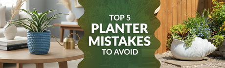Top 5 Mistakes to Avoid When Choosing Decorative Planters for Your Home and Garden