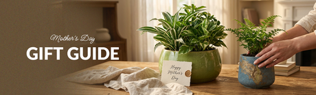Why Planters Are the Best Mother's Day Gifts for 2026