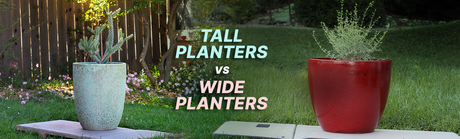 Tall Planters vs. Wide Planters: Which Is Right for Your Outdoor Space?