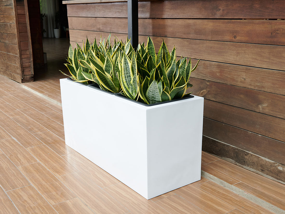 Rectangular Box Planter (Set of 3) By Plantatorem