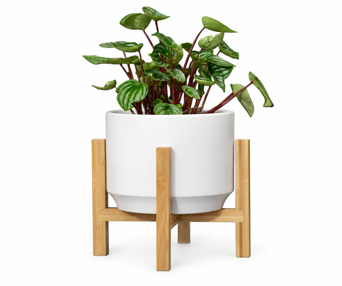 Mid Modern Medium Stand