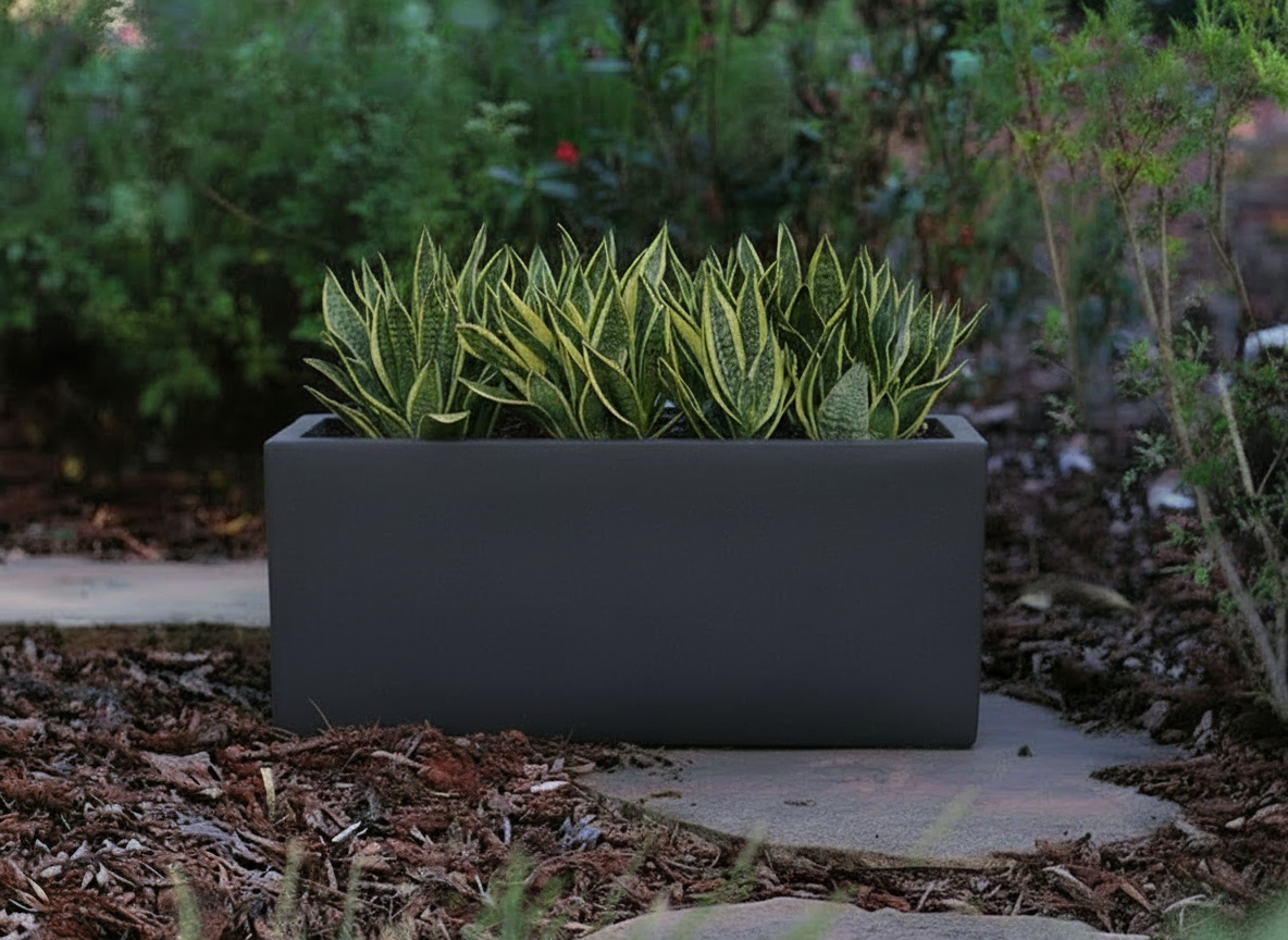 Rectangular Box Planter (Set of 5) By Plantatorem