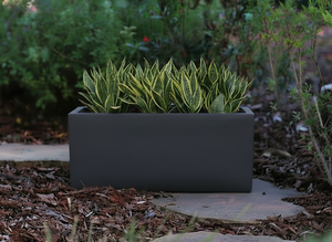 Rectangular Box Planter (Set of 5) By Plantatorem