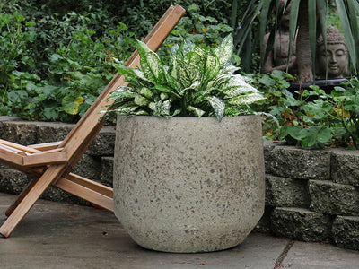 GEO PLANTER