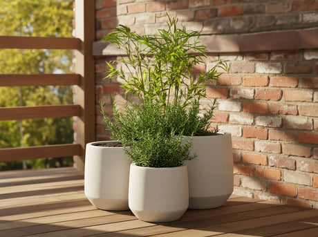 GEO PLANTER