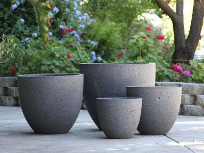 MAJESTY PALM PLANTER