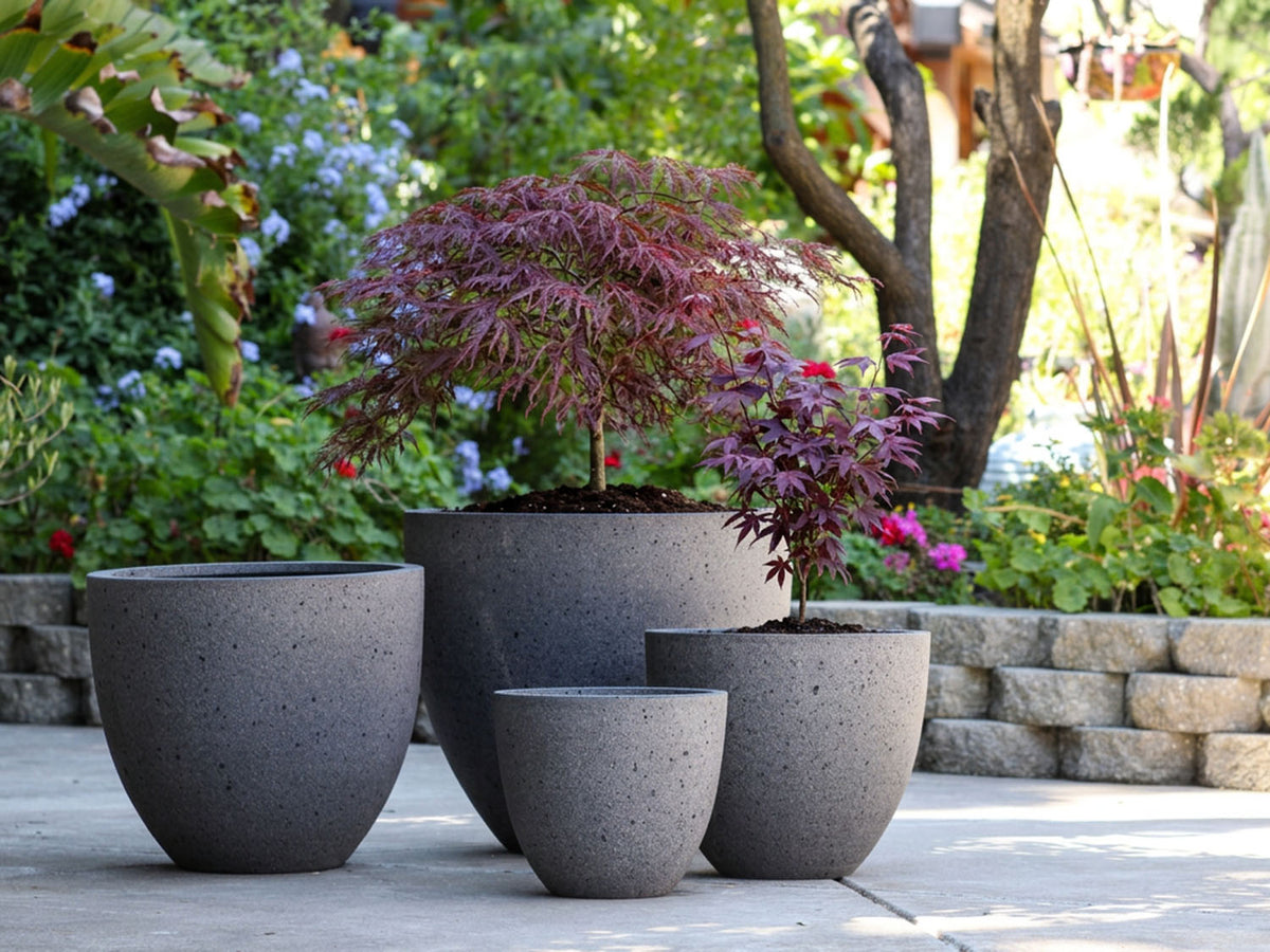 MAJESTY PALM PLANTER