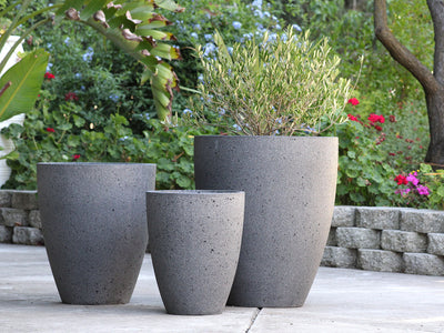 ALOCASIA TAPER PLANTER