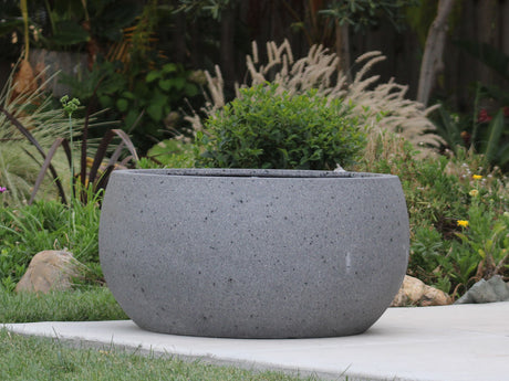 MAPLE BOWL PLANTER